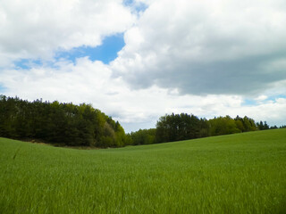Obraz premium Green fields in Kashubia region - Northern Poland. Cloudy day, travel and nature concept.
