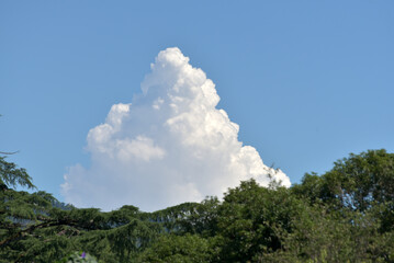 入道雲　夏の雲