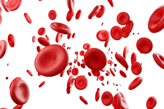 3D illustration of red blood cells on transparent background. It is used to illustrate medical, pharmacology, science and scientific education to learn about blood cells or mechanisms in the body.
