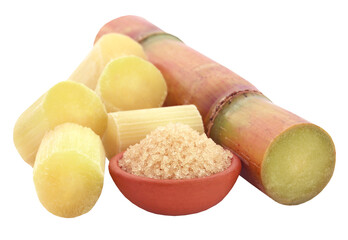 Piece of sugarcane with molasses