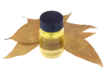 Bay leaves with essential oil