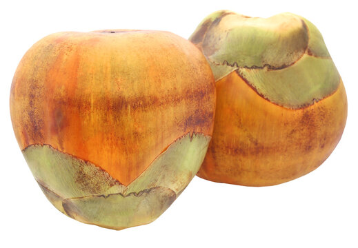 Borassus flabellifer or Tal fruit