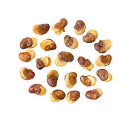 Broad windsor fava bean seeds isolated on transparent png