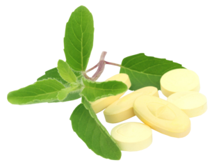 Medicinal tulsi with pills