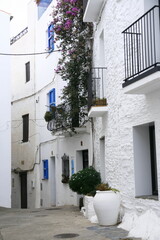 Fototapeta na wymiar Le centre historique de la ville de Cadaqués, située dans la région de Catalogne en Espagne, est un labyrinthe de ruelles pavées et d'habitations blanches aux volets et portes bleues