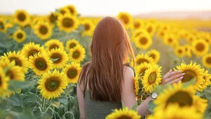 Fotobehang Oranje Woman walks through field of blooming sunflowers enjoying vivid moments on sunny day. Brown-haired lady explores huge countryside landscape  © lenblr