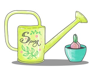 watering can and spring flower 