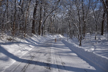 road in winter