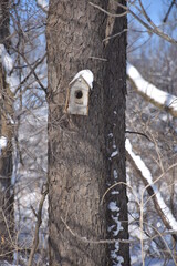 birdhouse on a tree