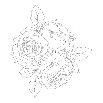 Composition of rose buds and leaves vector illustration in line art style. Hand drawn silhouette flowers. For the design of stickers, stationery, greeting cards, tattoos, coloring, prints on clothes