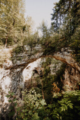 Fototapeta na wymiar Naturbrücke in einem slowenischen Wald