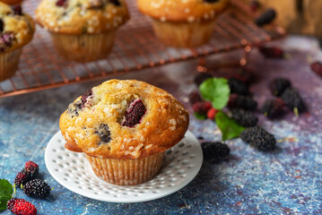 freshly baked homemade mulberry muffins cooling on white ceramic plate.