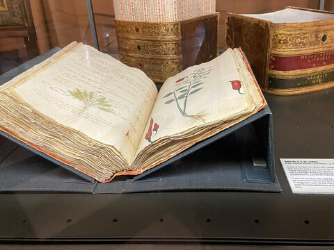 Venice, Italy - February 17, 2023: medieval botanical book of american plants in Art and Historic Correr Museum (Museo Correr) in Venice city