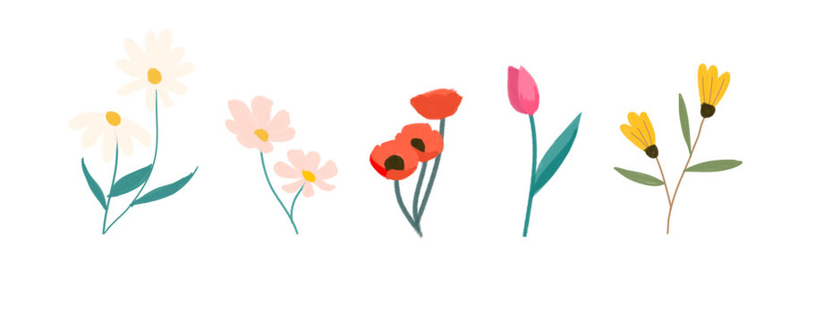 set of flower colorful element illustration vector eps jpeg png