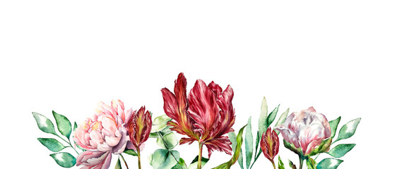 Watercolor botanical floral illustration spring garden plants flowers on white background peony tulip eucaliptus leaves
