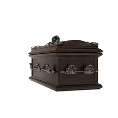 3d rendering dark fantasy skull vampire coffin