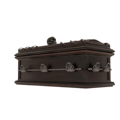 3d rendering dark fantasy skull vampire coffin