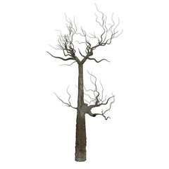 3d rendering old dead tree stump and roots isolated