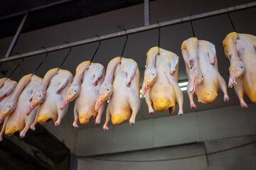 Some dead, plucked, naked ducks hang on hooks from a dark ceiling in a butcher's shop ready for...