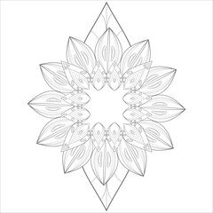 Coloring Books for adult. Hand drawn flowers in zentangle style for t-shirt design or tattoo and coloring book