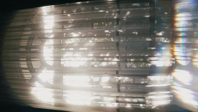 Tree shadows sway in the wind on the curtain. Vintage sepia colors. Shot through a prism. 4K Vertical