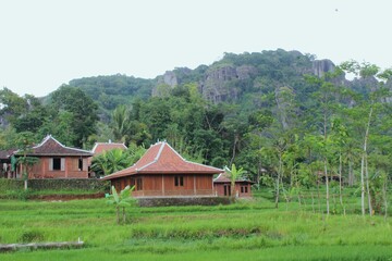 Fototapeta na wymiar house in green valley