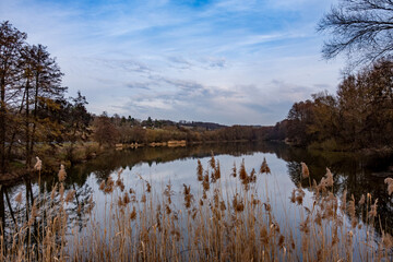 Waldsee