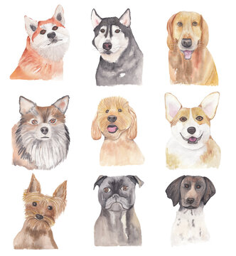 Dog portrait set Watercolor illustration of cute domestic animal Scrapbooking, invitation, post card, greeting card, baby shower graphics. Collection og cute puppies 