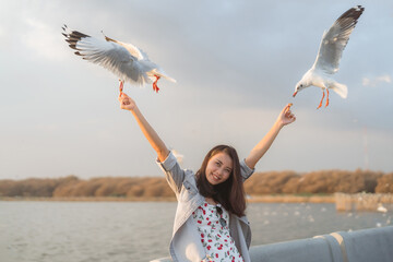 Asian enjoy woman hand holding a food and Seagulls bird flying down to eat from the hand feeding with sky background.