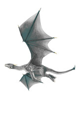 dragon is passing by