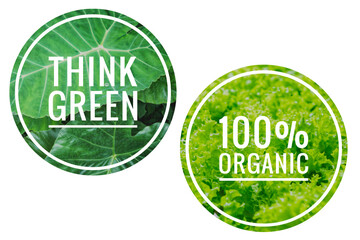 Think green and 100% natural logo with natural green leaf pattern on white background, ecological concept