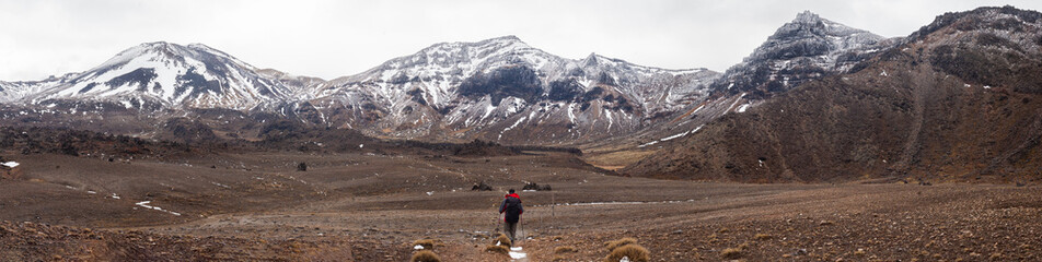 hiker walking alone in tongarino national park new zealand