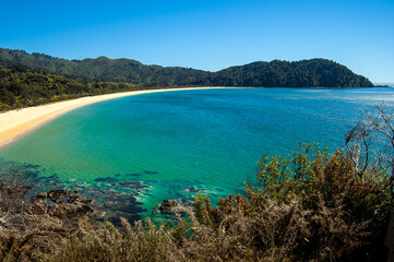turquoise water bay in abel tasman national park, southern island new zealand