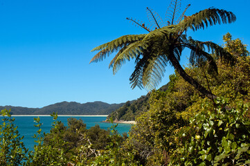 turquoise water bay in abel tasman national park, southern island new zealand
