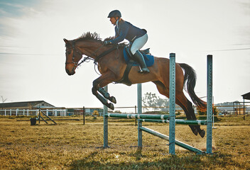 Training, jump and woman on a horse for sports, an event or show on a field in Norway. Equestrian,...
