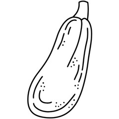 Zucchini or eggplant, vegetable harvest, linear vector icon in doodle style
