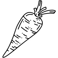Carrot, vegetable harvest, linear vector icon in doodle style