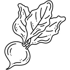 Turnips or beets autumn vegetable harvest, linear vector icon in doodle style