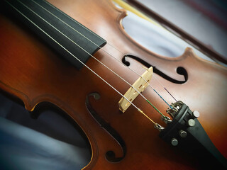 Violin put on background,show detail of acoustic instrument