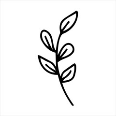 A branch with leaves. Black and white sketch, logo, clipart, icon, template. Botanical vector illustration, hand-drawn. Isolated object on a white background.