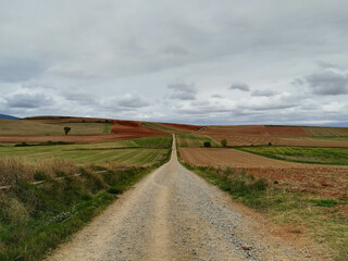 Fototapeta na wymiar Fondo natural con detalle de camino de tierra entre campos con tonos verdes y marrones