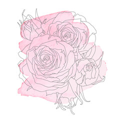 Composition of roses and buds vector illustration in line art style with pink watercolor stain. For the design of stickers, wedding invitations, stationery, greeting cards, clothing prints