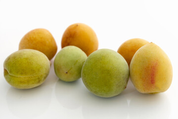 plum on a white background