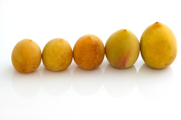 plum on a white background