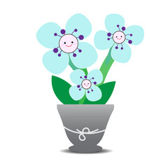 Cute blue flowers are in pots