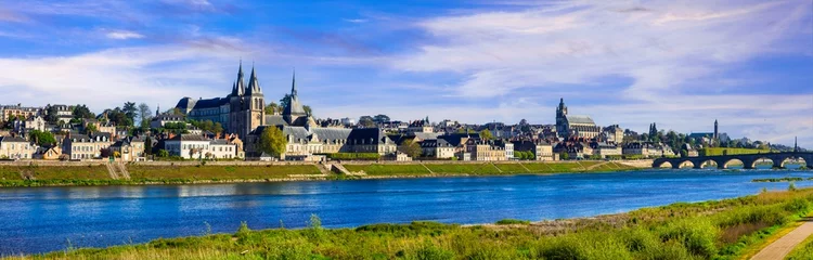Foto op Canvas Landmarks and travel in France. famous castles of Loire valley,  medieval town Blois © Freesurf
