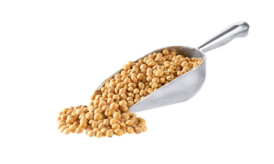 Small metal spoon or scoop with soybeans isolated on white background.