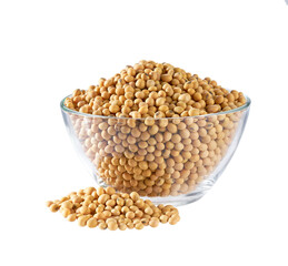 soybeans in a glass plate and scattered isolated on white background.
