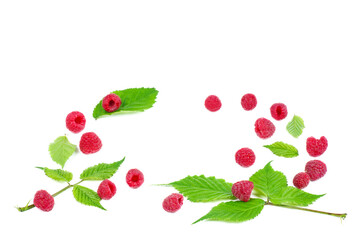 Rasberry isolated on a white background.