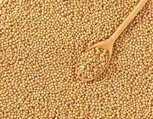 wooden spoon with soybeans  on a soybeans  background close-up top view.